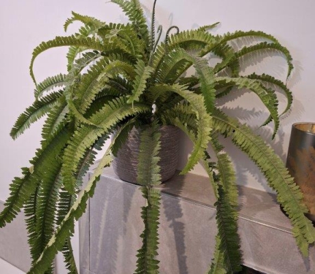 ARTIFICIAL FERN - R100 (S SANDTON)