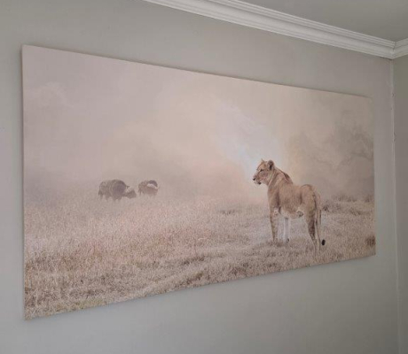 (LF37) Lion picture with standing lion - OFFERS