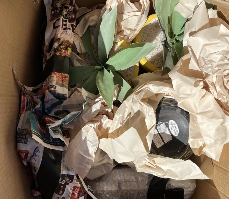 No:  48  (KP-STORE) -2 X PLASTIC POTPLANTS  - R60