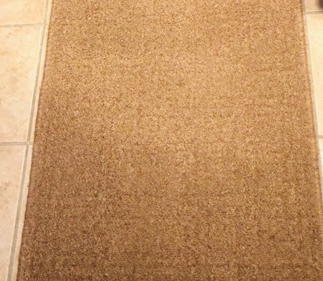 (ALB 25/4 - No:47) - Brown Carpet Was R650 now R350