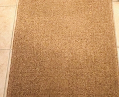 (ALB 25/4 - No:47) - Brown Carpet Was R650 now R350